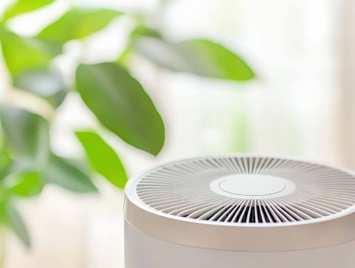 sleek air purifier next to plant