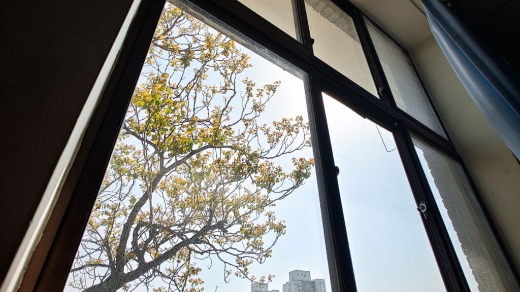 Understanding Window Energy Efficiency