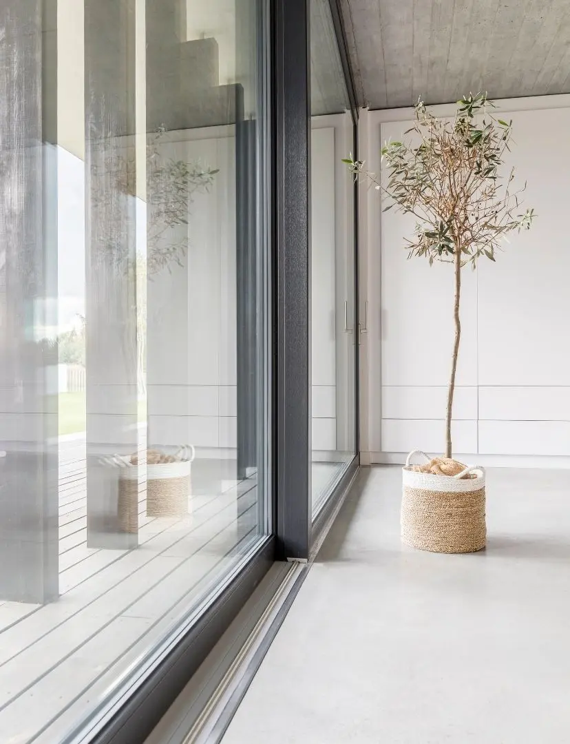 Modern Glass Sliding Doors With Indoor Plant