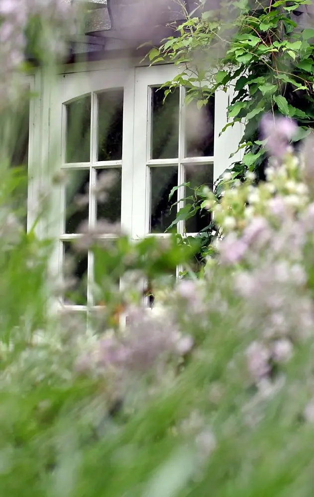 White Garden Window Surrounded By Green Plants